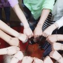 춘희수선 네이버블로그