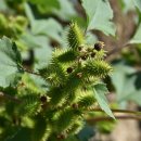 열매한의원 이미지