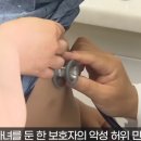 김미정소아청소년과 네이버블로그
