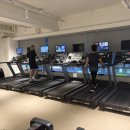 레디 바디 이미지