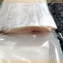 시장생선 이미지