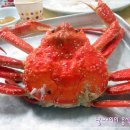 유달식당