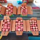 정규농장 이미지