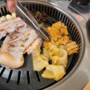 제주복돼지 이미지