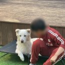 프로네앞마당 이미지