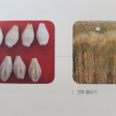 연호축산 이미지