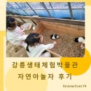 강릉원주대학교박물관 | 강릉 아이와 가볼만한곳 생태체험박물관 자연아놀자 솔직 후기