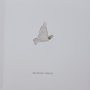 비둘기책방