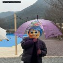 해브솔 | 밀양에서 일본 감성 글램핑? 해브솔캠프 자쿠지 후기