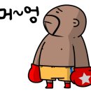 군포복싱 이미지