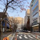 미노드 이미지