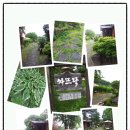 차뜨락 - 군산시 서원석곡로 468-7 | 차뜨락
