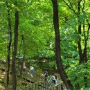 11545-05-01-06 | 서울 선정릉 후기｜선릉역 산책코스·입장료·주차·관람시간 정리