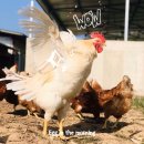 이순석농장 이미지