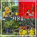 가로수길정원하우스 | 서울숲 생각보다 훨씬 좋았던 이유 8가지, 피카츄 정원 예약 꿀팁, 포토존, 주차 정보