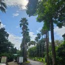 베릿내 | [제주 가을 한달살이] 제주 서귀포 가볼 만한 곳 베릿내오름 주차 및 소요시간 등 방문 후기