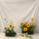 월영동206 | HWA HONG ㅣ 화홍, 마산꽃집, 창원꽃집, 경남대꽃집, 월영동꽃집, 댓거리꽃집 ㅣ 센터피스, 돌상...