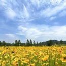 낙동강변로6-6 이미지