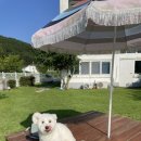 글램독통영 이미지