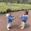 안다미로 샤브샤브 이미지