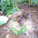 용초화장실 이미지