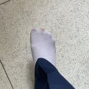 거삼농장 | 메이
