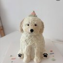 댕댕파티 이미지