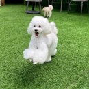 행복한유치원앞 이미지