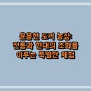 윤용현 도끼 농장: 전통과 현대의 조화를 이루는 특별한 체험