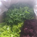 늘푸른농장(2) 이미지