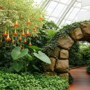 부천호수식물원 수피아 이미지