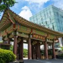 돌마고교 이미지