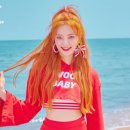 솜이랑 이미지