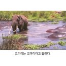 강함에는 수식어가 필요 없다. 이미지