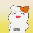 성원사진여행 이미지
