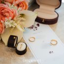 참좋은환경 - 완주군 | 선릉 아펠가모 본식스냅 촬영 후기