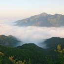 곡성-101 한국일보