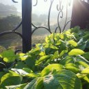 충전하우스 이미지