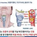 한일스피치학원