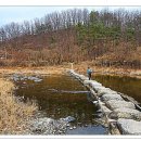 꽃돌농장 이미지