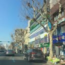 송라미엘소아청소년과의원 이미지