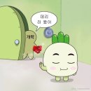 디두 이미지