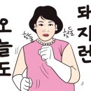 강릉꽈로케 이미지