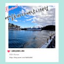 제주에서 이색적으로 놀고 싶어서 다녀온 서귀포배낚시 영일호 체험 후기