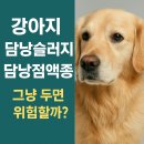 지성동물병원