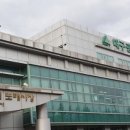 신흥부산물 한국일보