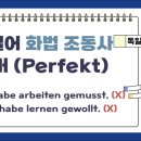 레나와독일어