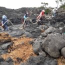 남원읍-8 이미지