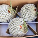 예진농장 이미지