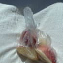 창원의집 | 창원 빵집 맛집 투어- 메르시메르시, 창원의집, 장인닭갈비.